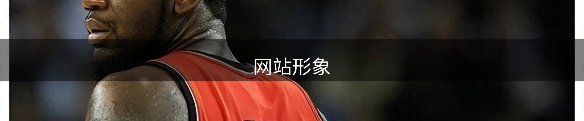 网站形象