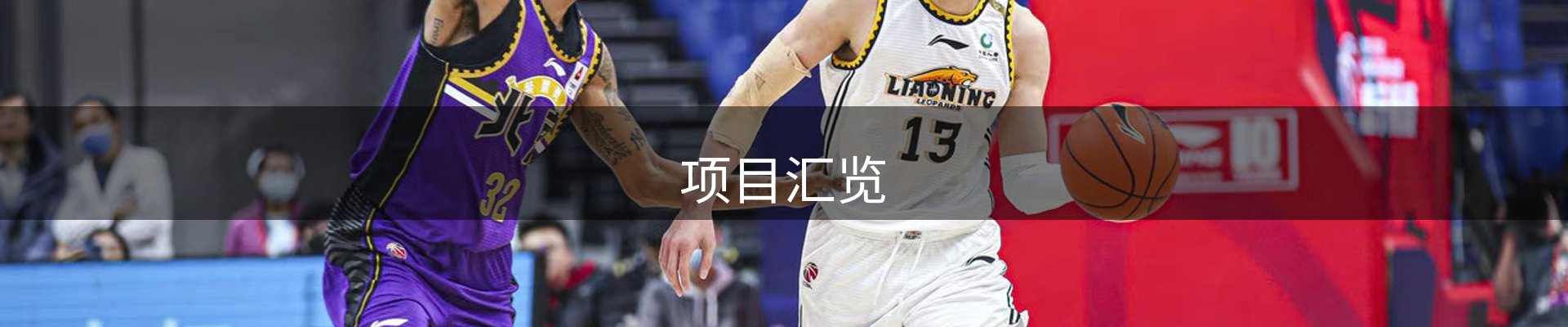 项目汇览